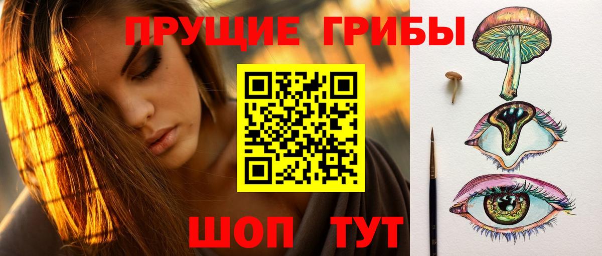 Сегежа  Псилоцибиновые грибы Psilocybe  Вход с VPN  Псилоцибиновые грибы ЛСД 